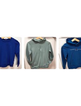 Tommy Hilfiger Sweatshirt und Hoodies - Hafenlohr