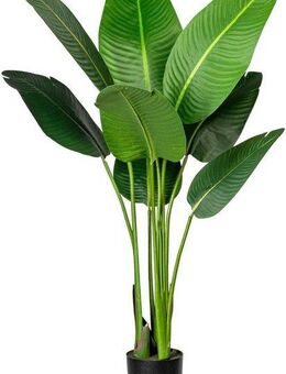 Künstliche Zimmerpflanze Strelitzia Strelitzia, Creativ green, Höhe 120 cm