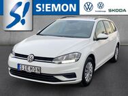 VW Golf Variant, 1.0 TSI Trendline vr hi, Jahr 2020 - Ibbenbüren