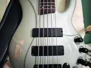 Bass Ibanez Ergodyne EDC 705 5-Saiter - Köln