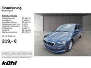 Skoda Scala, 1.0 TSI Cool Plus, Jahr 2020 - Hildesheim