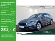 Skoda Octavia, Combi TDI STYLE, Jahr 2023 - Neuss