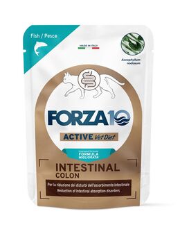 Forza 10 Intestinal Colon Active Vet Diet für Katzen 12 x 80 g - Weißfisch