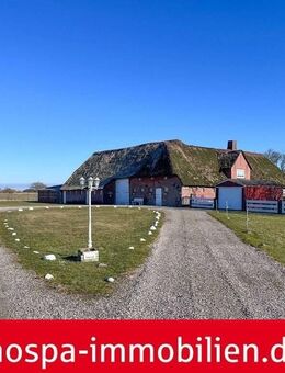 Keine Nachbarn! Ländliches Leben unter Reet - Neukirchen (Landkreis Nordfriesland)