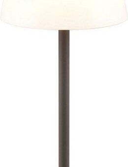 Reality Leuchten LED Außen-Tischleuchte Sanchez, Dimmfunktion, USB-Ladefunktion, LED fest integriert, Farbwechsler, Akku Garten Tischlampe RGB Farbwechsel dimmbar Lichtfarbe einstellbar