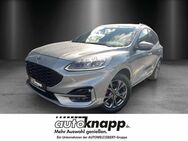 Ford Kuga, 2.5 Duratec Plug-in-Hybrid ST-Line X (, Jahr 2021 - Frankenthal (Pfalz)