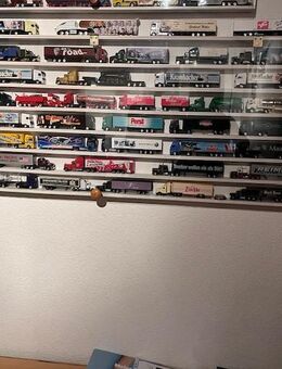 80 LKW Modelle mit Vitrine - Zweibrücken
