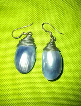 Schmuck: Ohrringe aus echten Muscheln in schillernden Blau-Grau mit 925 Silberhaken - Nürnberg