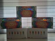 Labubus Mystery Big Intro Energy box 6 Stück drine - Kerpen (Kolpingstadt)