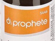 Prophete Antriebsreiniger Zweiradreiniger