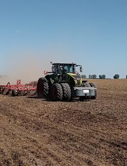 Landwirt - Wildberg (Mecklenburg-Vorpommern)