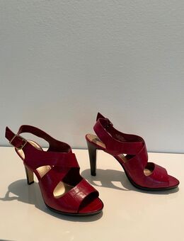 Damenschuhe Größe 40 - Münster