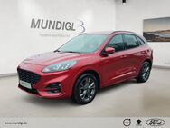 Ford Kuga, 1.5 ST-Line EcoBoost digitales, Jahr 2023 - Landshut