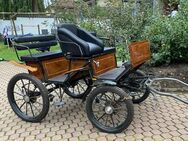 Pferdekutsche Jagdwagen, Ein-/Zweispänner zu verkaufen - Witten