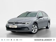 VW Golf Variant, 1.5 Golf VIII eTSI LIFE DIGITAL 16ZOLL, Jahr 2023 - Linsengericht