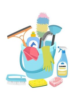 Haushaltsreinigung - Ludwigshafen (Rhein)