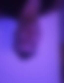 Ruh*** - Mülheim (Ruhr)