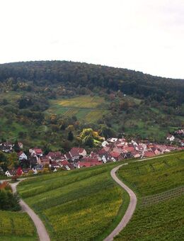 Idyllisches Wohnen, umgeben von Weinbergen und Obstbaumwiesen. - Weinstadt
