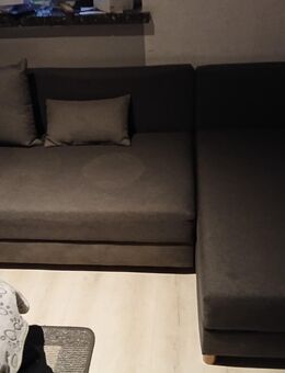 Couch mit Schlaffunktion zu verkaufen - Barchfeld-Immelborn
