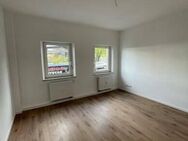 1-Zi-Wohnung mit Blick auf den Rosenaupark - Nürnberg