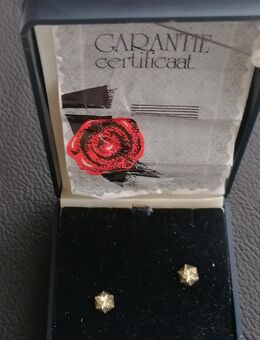 Creolen und mehr Goldschmuck 585 - Bad Rodach