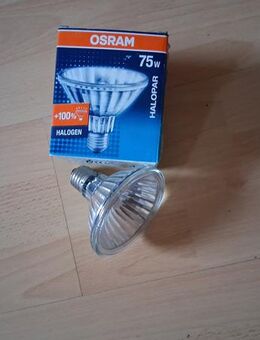 Osram Halopar 30 75W E27 Flood 30 Grad Halogen Reflektor - Meerbusch