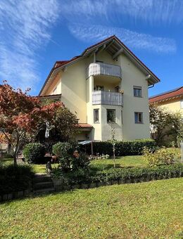 MFH herrliche Waldrandlage mit Haus im Haus für Selbstnutzer in Waldshut Provision frei - Waldshut-Tiengen