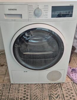 SIEMENS Trockner IQ500 - Furth (Wald)