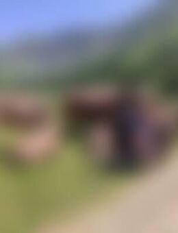 Pat*** - Germaringen