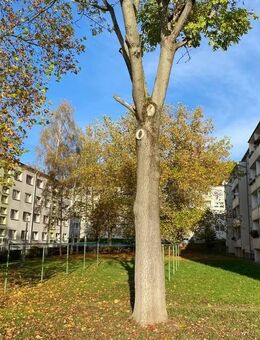 Gera/Langenberg: Gut geschnittene 4-Zimmer-Wohnung - Interesse selbst zu renovieren und Geld zu sparen?! - Gera