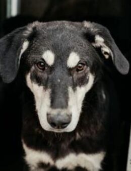 Lieber, offener Caspar - Kallmünz