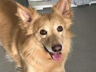 Rolly und ein Herzenswunsch - Bad Vilbel