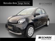 smart EQ forfour, Volldach, Jahr 2020 - Eisenach