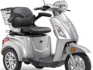 Luxxon Elektromobil E3800, 800 W, 20 km/h, (Elektroroller, Korb), bis zu 65 km Reichweite, Elektro Dreirad, Seniorenmobil