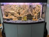 Aquarium 260 Liter mit Filter/Pumpe FLUVAL - Berlin Mitte