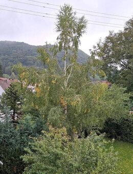 Tolle Wohnung - gute Lage - großer Balkon und viel Natur ! - Eningen (Achalm)