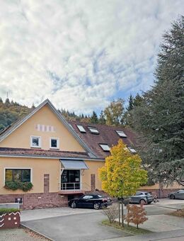 Attraktive Kapitalanlage in Neckargemünd: Wohn- und Geschäftshaus in Toplage - Neckargemünd