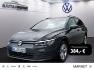 VW Golf Variant, 2.0 TDI Golf VIII Life Digital Pro Light, Jahr 2023 - Wiesbaden