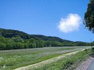 Wunderschön wohnen in Trassem mit ca. 100 qm Garten und Südbalkon - Trassem
