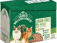 James Wellbeloved Adult Cat Grain Free Truthahn - Sparpaket: 48 x 85 g