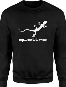 Herren Baumwoll-Sweatshirt für Audi-Fans – Mit hochwertigem Siebdruck quattro Design 2 Set342 - Ingolstadt