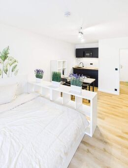 Voll ausgestattet & möbliert - frisch saniertes Appartement direkt am Seerhein - Konstanz