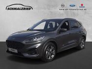 Ford Kuga, ST-Line X FHEV El Fondsitzverst digitales, Jahr 2024 - Bremerhaven