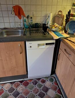 Spühlmaschine zu verkaufen - Salzwedel (Hansestadt) Zentrum