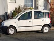 FIAT Panda - Peine