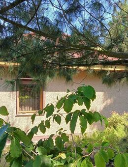 Fürstenwalder/Rauener Stadtberge - Kleines Wohnhaus mit Garten - Rauen