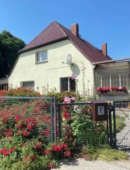 altersgerechte 4 Raum Wohnung mit Garten in Krummin zu vermieten - Krummin