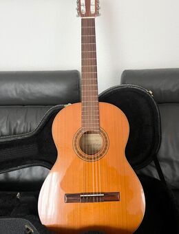 Gitarre Rafael Ortega R220 - Geislingen (Steige)