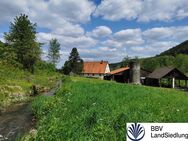 Historische Hofstelle mit arrondierten land-, forst- und teichwirtschaftlichen Flächen im LKR Nürnberger Land - Happurg