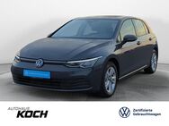 VW Golf, 2.0 TDI VIII Life, Jahr 2024 - Möckmühl